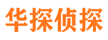 盐边市调查公司